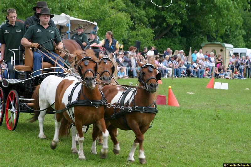 Ponytag Bosbach 2012-011.jpg